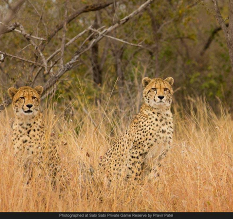 10511442 702721759775478 2676365858792892481 O