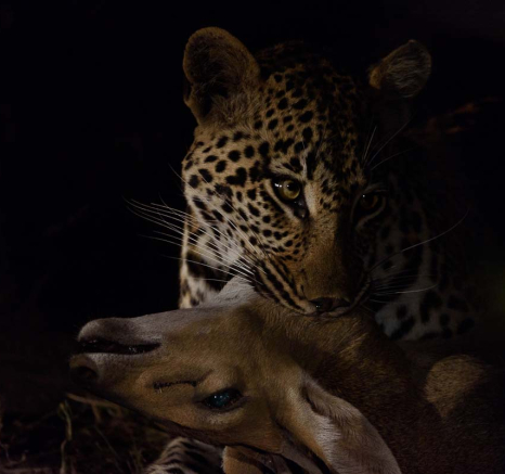 Mike Palmer Hlarulini 070316 3 Mike Palmer Hlarulini 070316 3