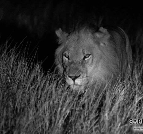 09Kyle 2 Feb Avoca Hunt 11 Final 09Kyle 2 Feb Avoca Hunt 11 Final