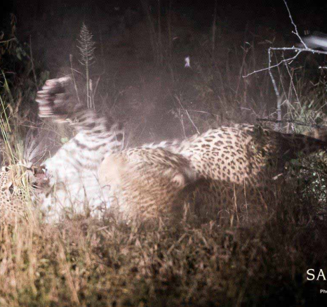 18Terry Ennever WDMSMB 2018510 2 Final 18Terry Ennever WDMSMB 2018510 2 Final