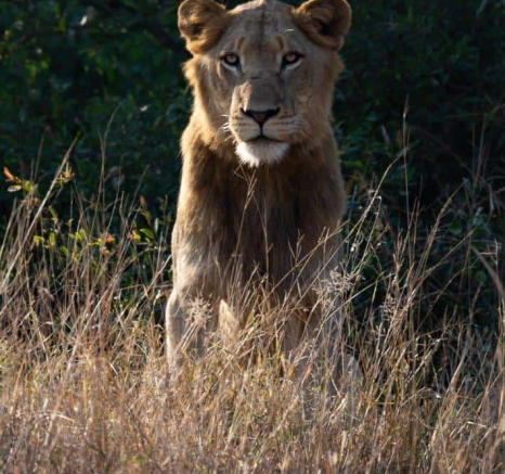 08Kerry Lee Roberg SP Male Final 08Kerry Lee Roberg SP Male Final