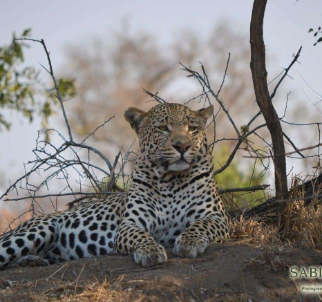 18Ronald Mutero Wite Dam 28072019 2 Final 18Ronald Mutero Wite Dam 28072019 2 Final