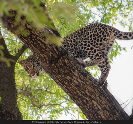 10468216 742765119104475 3950456524203751117 O