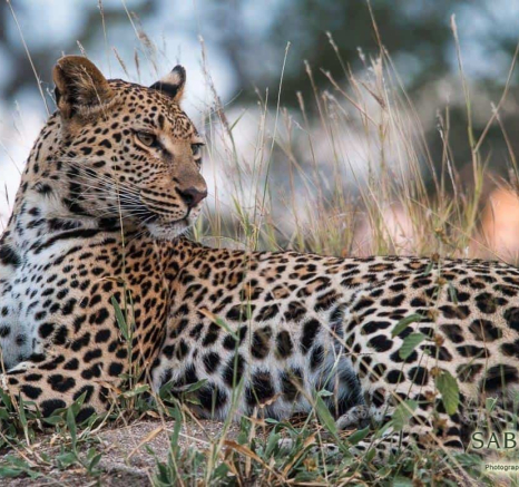 11Kerry Lee Roberg Ntsumi Sunset Final 11Kerry Lee Roberg Ntsumi Sunset Final