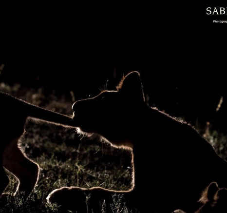 04Kyle 24 Dec Stay Put Final 04Kyle 24 Dec Stay Put Final