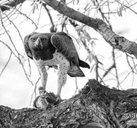 25Aug Leave 2017 32 Final 25Aug Leave 2017 32 Final