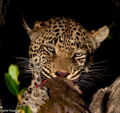 34ronald Mutero Mweti 17062021   13 Final 34ronald Mutero Mweti 17062021   13 Final