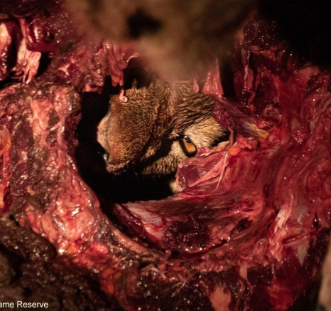 B08Jasom Street Styx 140123 3. Final