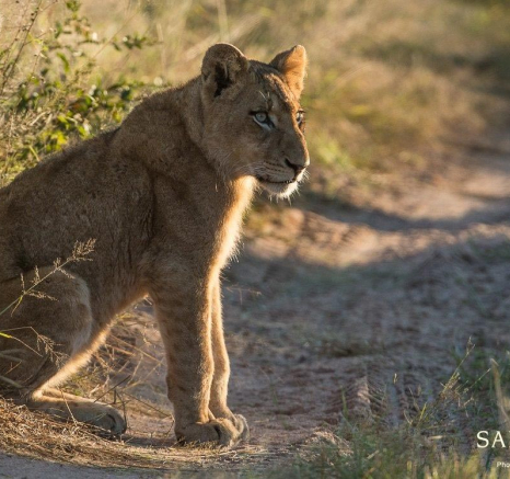 30Terry Ennever SP16517 Final