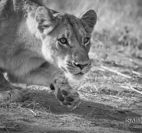 07 20190523 Ally Ross SP 02 Final 07 20190523 Ally Ross SP 02 Final