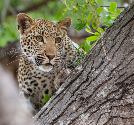 HighlightsOct Nov3.Terry 