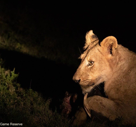 A34Jason Street Styx 280911 3. Final