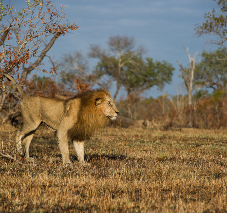 Sanriver Males 6 Sanriver Males 6