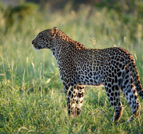 21Mike Palmer Hlarulini 010416 3