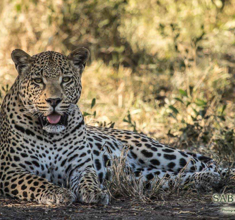 14Kevan Dobbie WDam Scene 100518 2 Final 14Kevan Dobbie WDam Scene 100518 2 Final