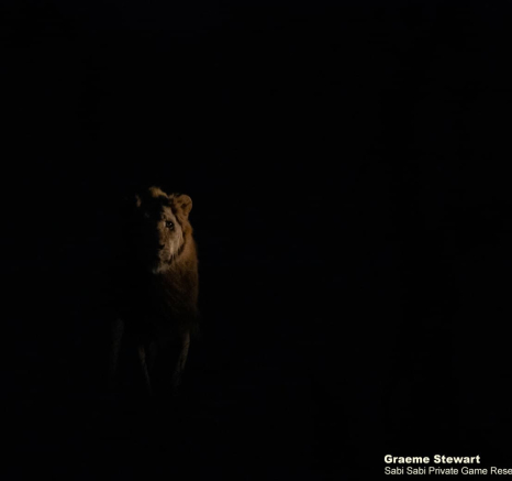 31Graeme Stewart Nwas Male 260820 1 Final