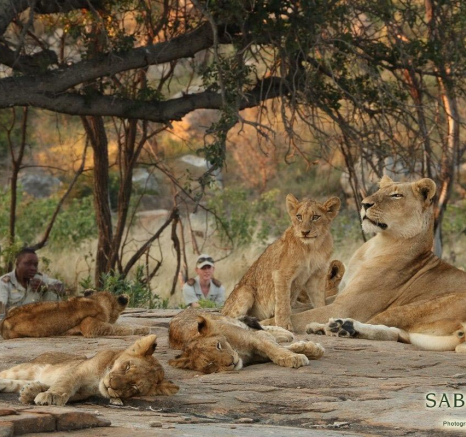 28Conrad Zeelie SP 3 Final