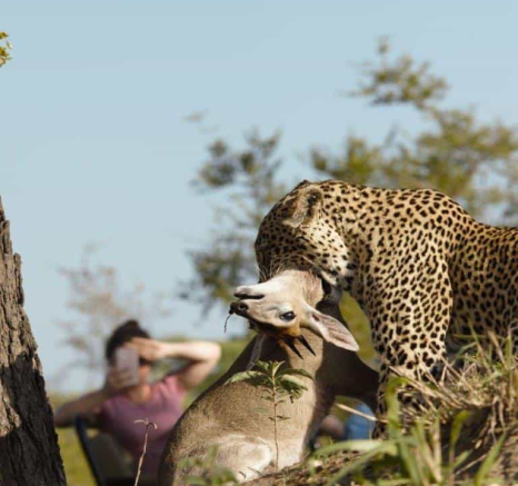 10Daniel Hitchings Scotia 02122019 1 Final 10Daniel Hitchings Scotia 02122019 1 Final