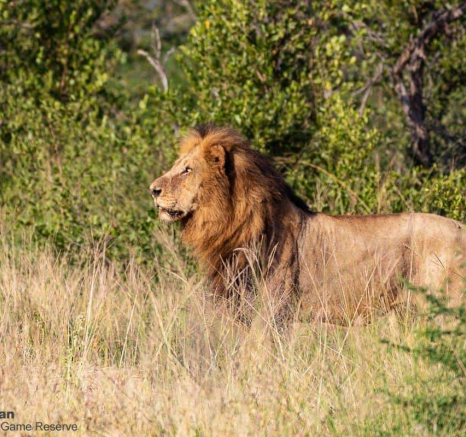 23Brett Heasman Bermingham 21032020 2 Final