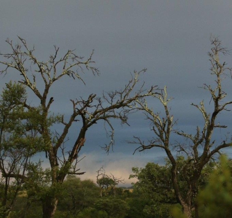 22Steff McWilliam Landscape 6 04 19 Final 22Steff McWilliam Landscape 6 04 19 Final