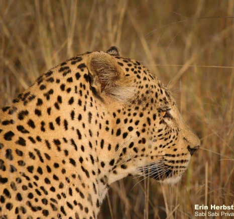 45Erin Herbst White Dam 2 050920 Final 45Erin Herbst White Dam 2 050920 Final