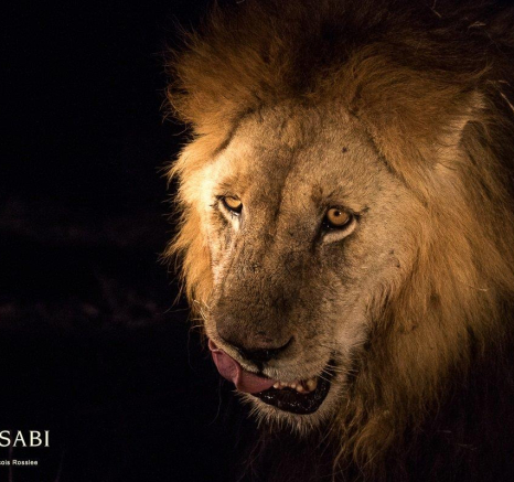 11Franscois Rosslee Matimba 1 Of 1 Final