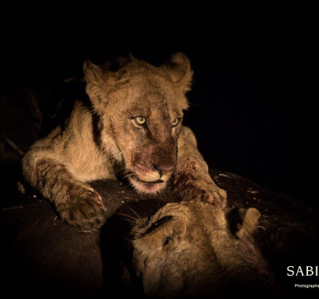 32Franscosi Rosslee Sp1 1 Of 1 Final