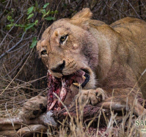 07Kevan Dobbie SP 211018 Final