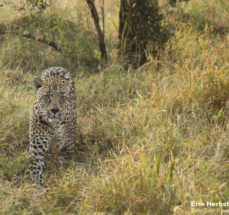 20Erin Herbst Nweti 1 090521 Final