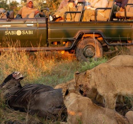 A26David Den Hartog Southern Pride 14 04 2022 1 Final