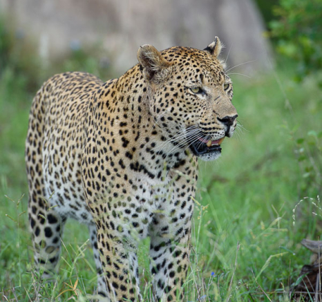 Mike Palmer Max Marieps Mike Palmer Max Marieps