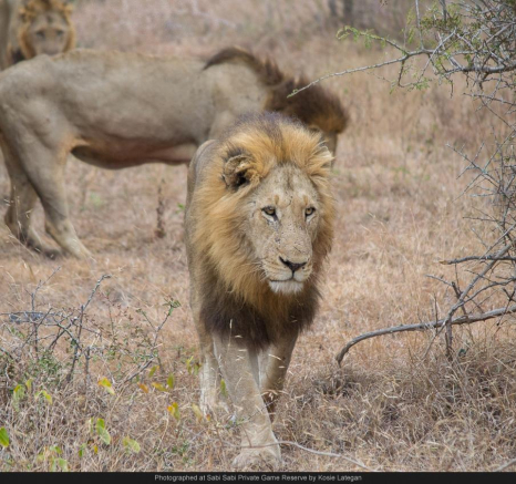 10463803 698863603494627 8208220552266587644 O