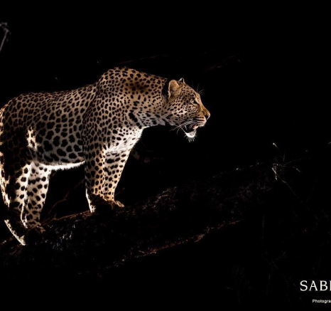 33Terry Ennever Max WD 15417 6 Final 33Terry Ennever Max WD 15417 6 Final