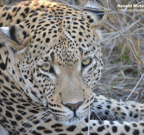 17Ronald Mutero White Dam 04102019 Final 17Ronald Mutero White Dam 04102019 Final