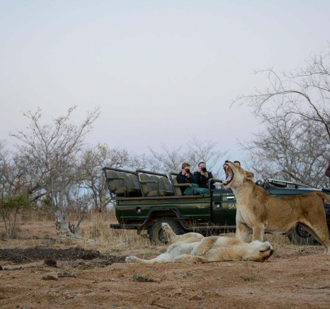 04Mike Palmer Lions 010816 04Mike Palmer Lions 010816