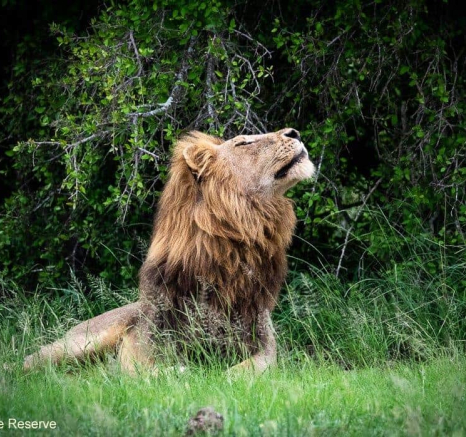 16ronald Mutero Nwash 03012021 3 Final