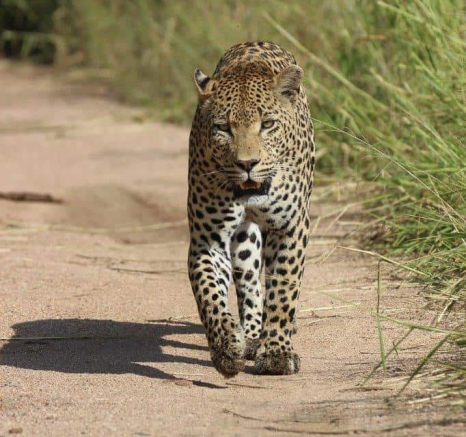 14Louise Murray Wd 29032020 2 Final 14Louise Murray Wd 29032020 2 Final