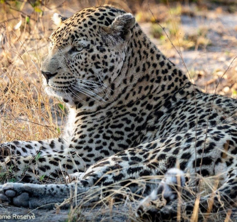 B15Ronald Mutero Dewane Or Day One 30082021 9 Final B15Ronald Mutero Dewane Or Day One 30082021 9 Final