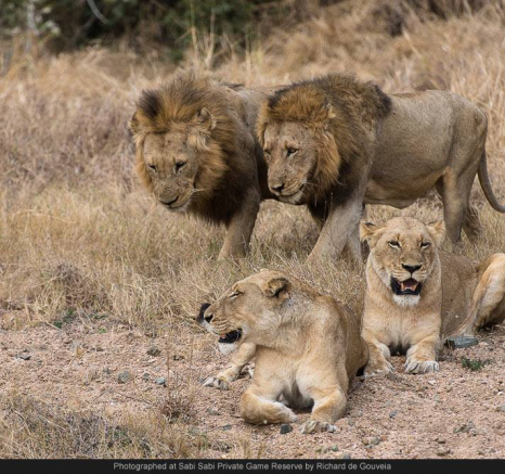 10531389 721663481214639 3925257627882486800 O