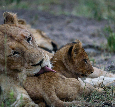 20Mike Palmer SP 240416 2