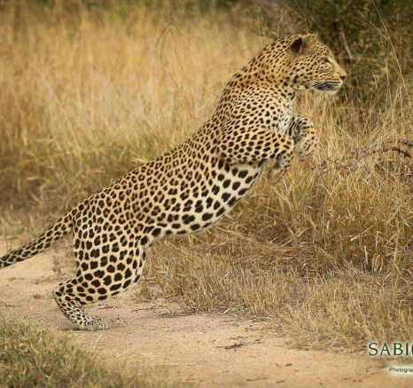 32Ally Ross 20190525 White Dam 01 Final 32Ally Ross 20190525 White Dam 01 Final