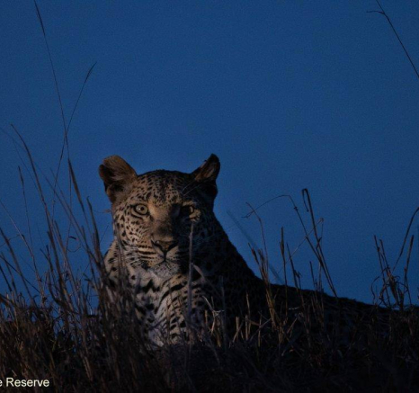 42Graeme Stewart Ntsumi 040920 4 Final 42Graeme Stewart Ntsumi 040920 4 Final