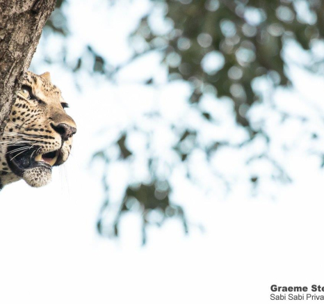 24Graeme Stewart Ntsumi 250321 Final 24Graeme Stewart Ntsumi 250321 Final