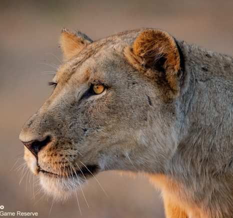 B23ronald Mutero Styx 29082021  6 Final B23ronald Mutero Styx 29082021  6 Final