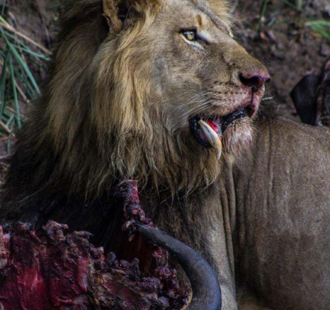 19Tayla McCurdy Charleston Male 31 Dec 3