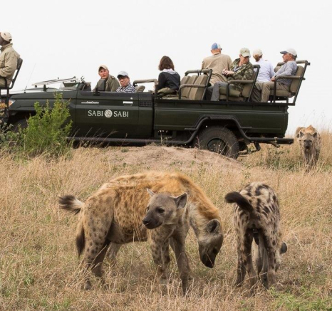 16Franscois Rosslee Hyena 201017 1