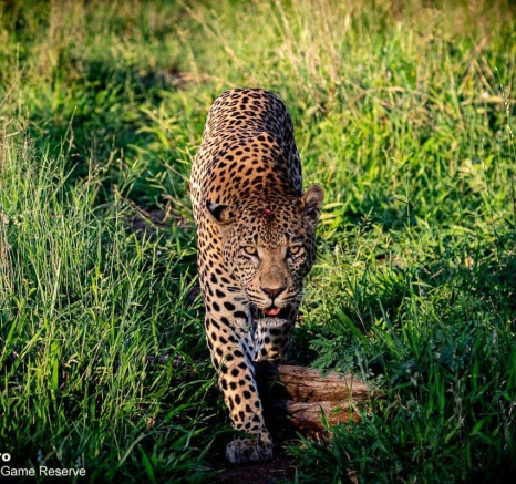 05ronald Mutero White Dam 30122020 Final