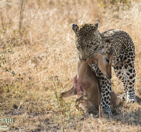 30Kevan Dobbie Kashan 25.06.3 Final