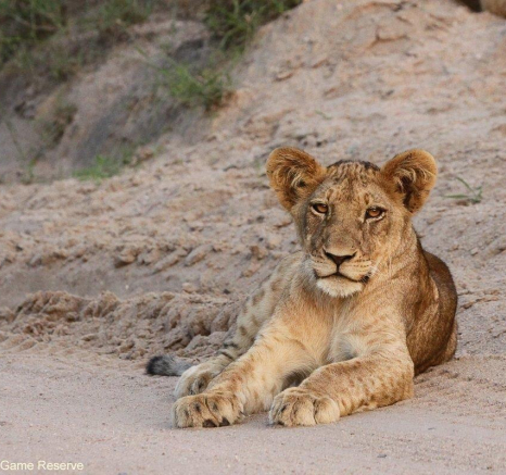 A08Erin Herbst Styx 2 111212 Final A08Erin Herbst Styx 2 111212 Final