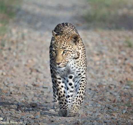 A21ronald Mutero Golonyi 29112022  4 Final